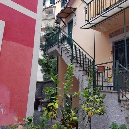 Controvento Ii